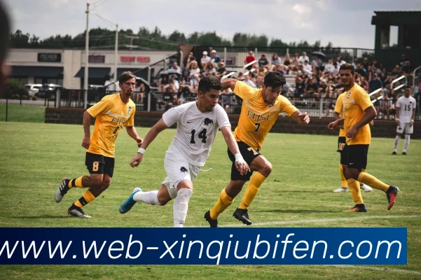 新球体育机构发展历程